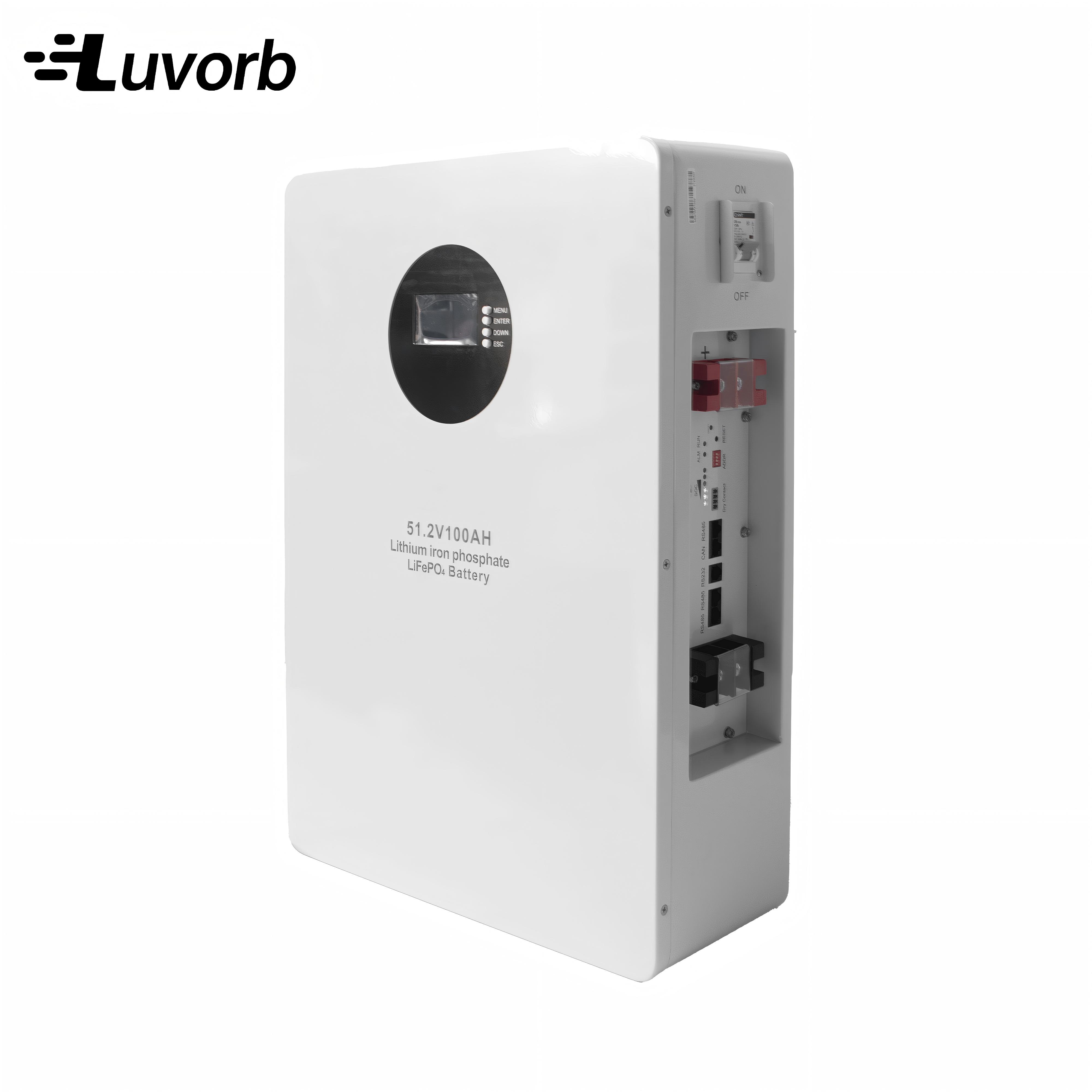 LiFePo4 Inverter Battery EMS 1 - огляд і ціна Lithium Battery 100Ah