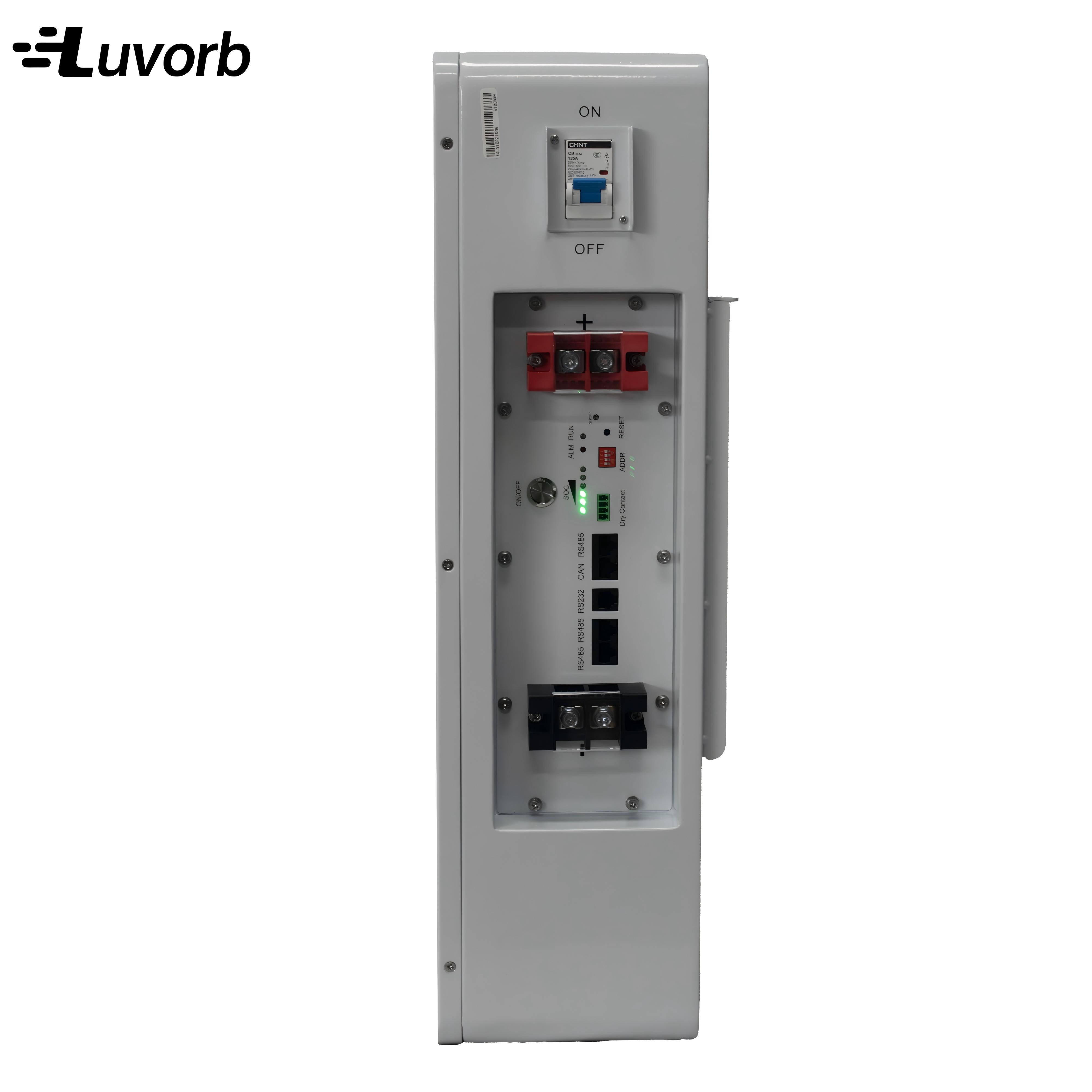 LiFePo4 Inverter Battery EMS 1 - огляд і ціна Lithium Battery 100Ah