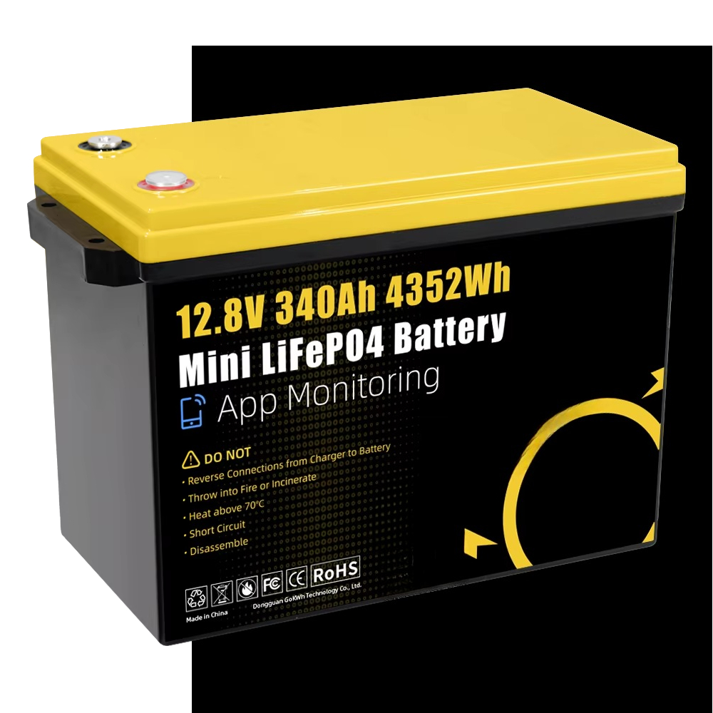 GoKWh Marine 12v Lifepo4 Lithi - огляд і ціна Lithium Battery 100Ah