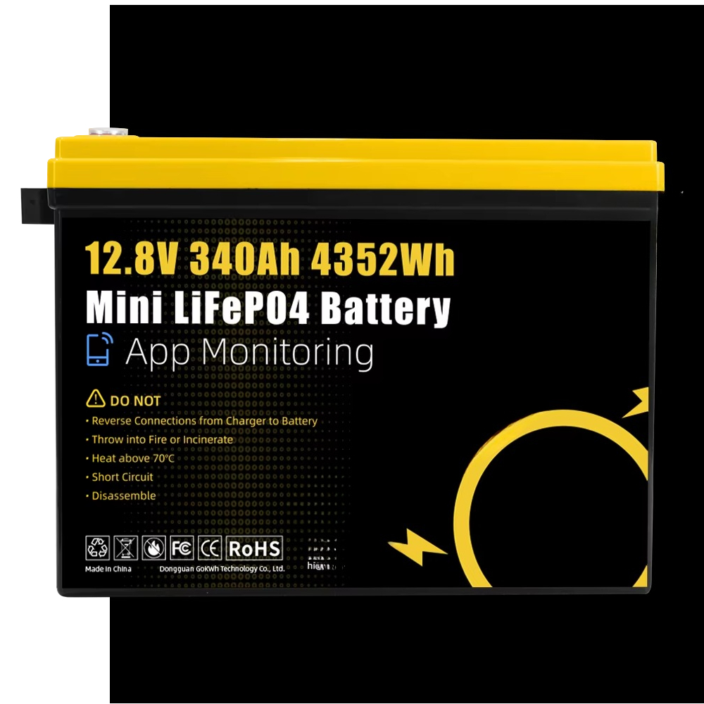 GoKWh Marine 12v Lifepo4 Lithi - огляд і ціна Lithium Battery 100Ah