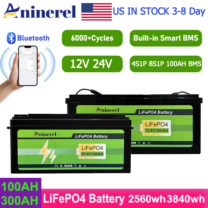 Aninerel  2560Wh 3840Wh 12V 30 - огляд і ціна Lithium Battery 100Ah