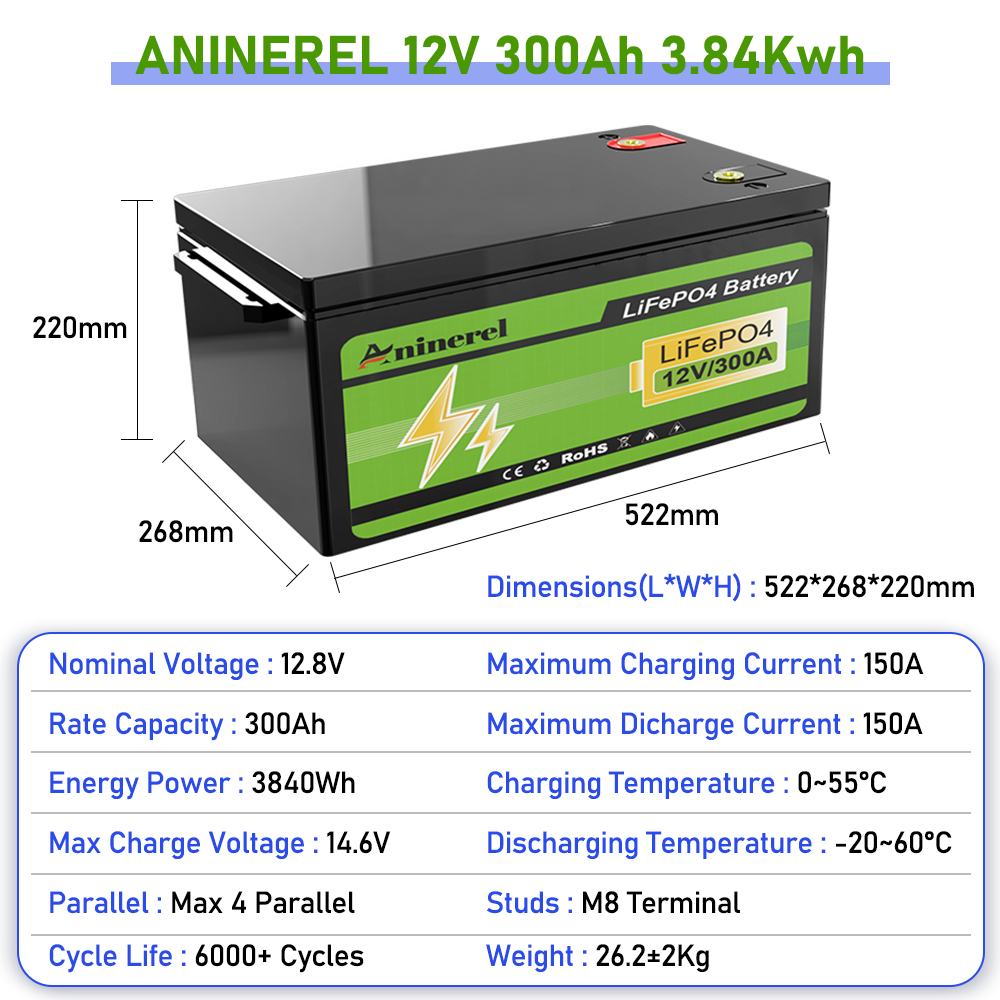 Aninerel  2560Wh 3840Wh 12V 30 - огляд і ціна Lithium Battery 100Ah