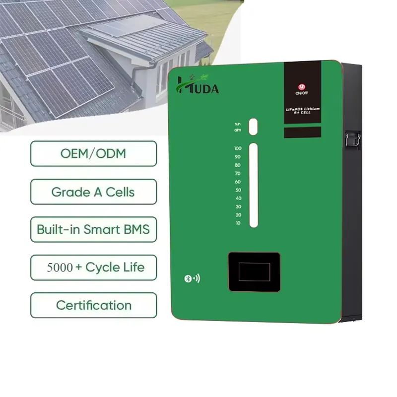 High Capacity 5kWh LiFePO4 Lit - огляд і ціна Lithium Battery 100Ah