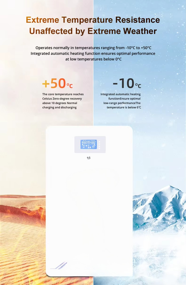 Wall-mounted 100Ah 200Ah 230Ah - огляд і ціна Lithium Battery 100Ah