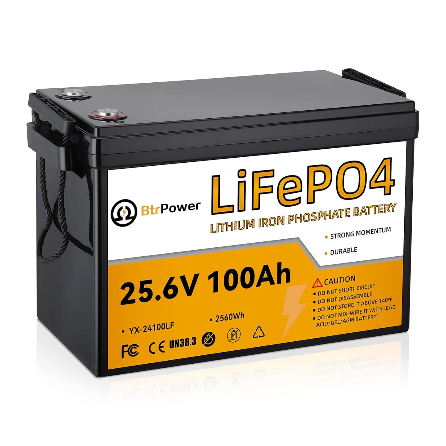 24V 100Ah Lithium LiFePO4 Batt - огляд і ціна Lithium Battery 100Ah